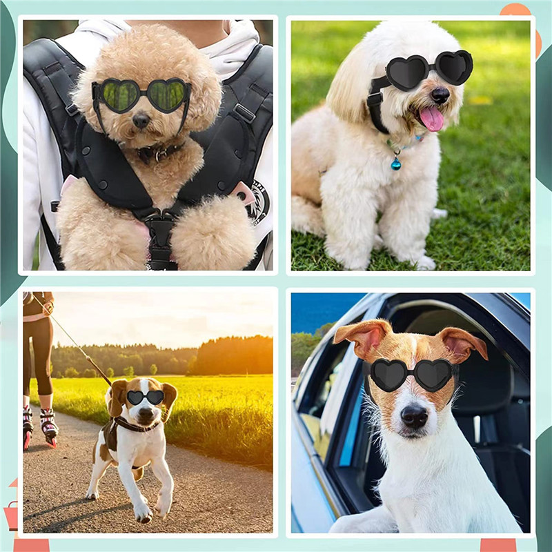 Lunettes de soleil en forme de - Sunglass Retainer Cord avis et prix